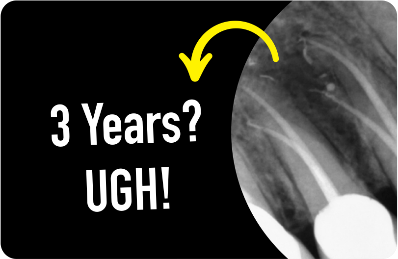 3 Years to Figure It Out!