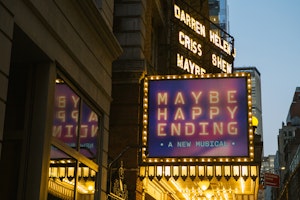 Maybe Happy Ending