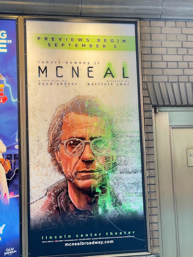 Robert Downey, Jr. in McNeal