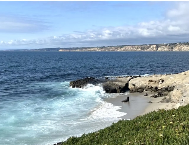 San Diego Coastline