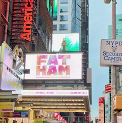 Fat-Ham-American-Airlines