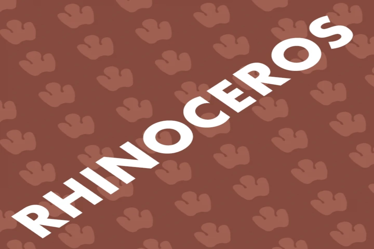 Rhinoceros on Broadway