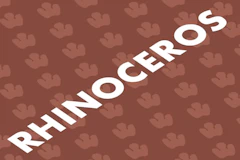 Rhinoceros on Broadway