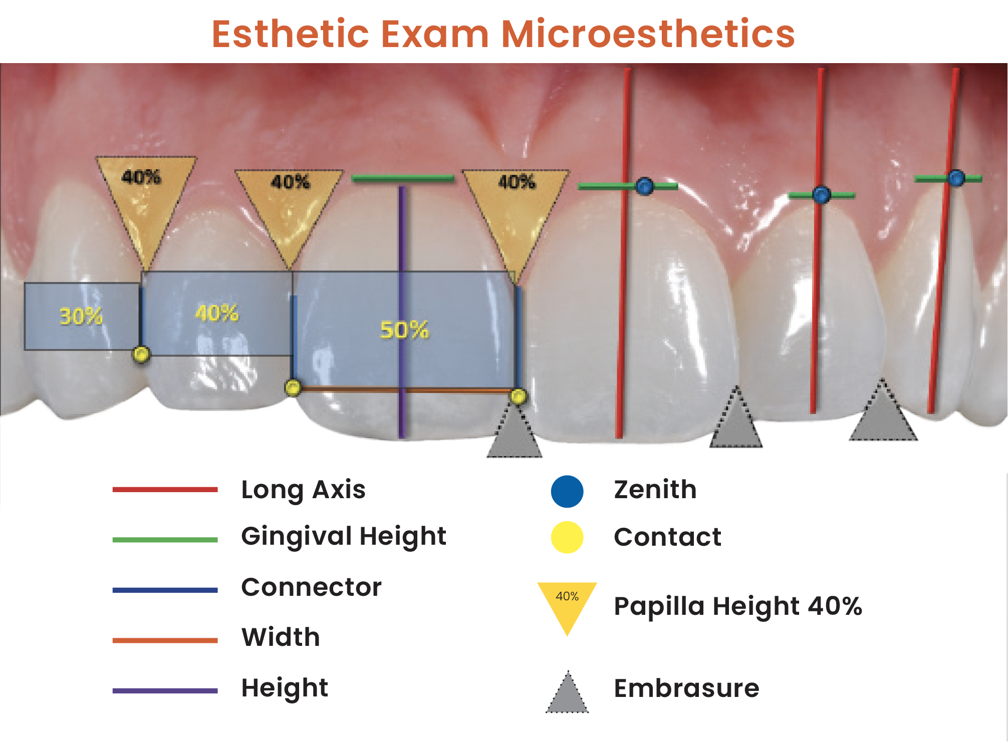Sarver Esthetic Exam - Microesthetics