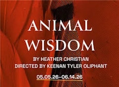 Animal Wisdom