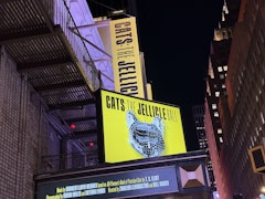 Cats: The Jellicle Ball