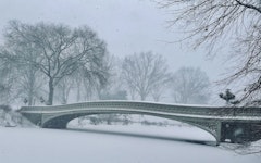 NYC Snow and Bridge