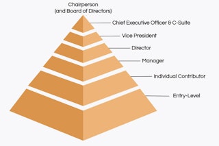 A hierarchy chart visualizing the path of career growth.